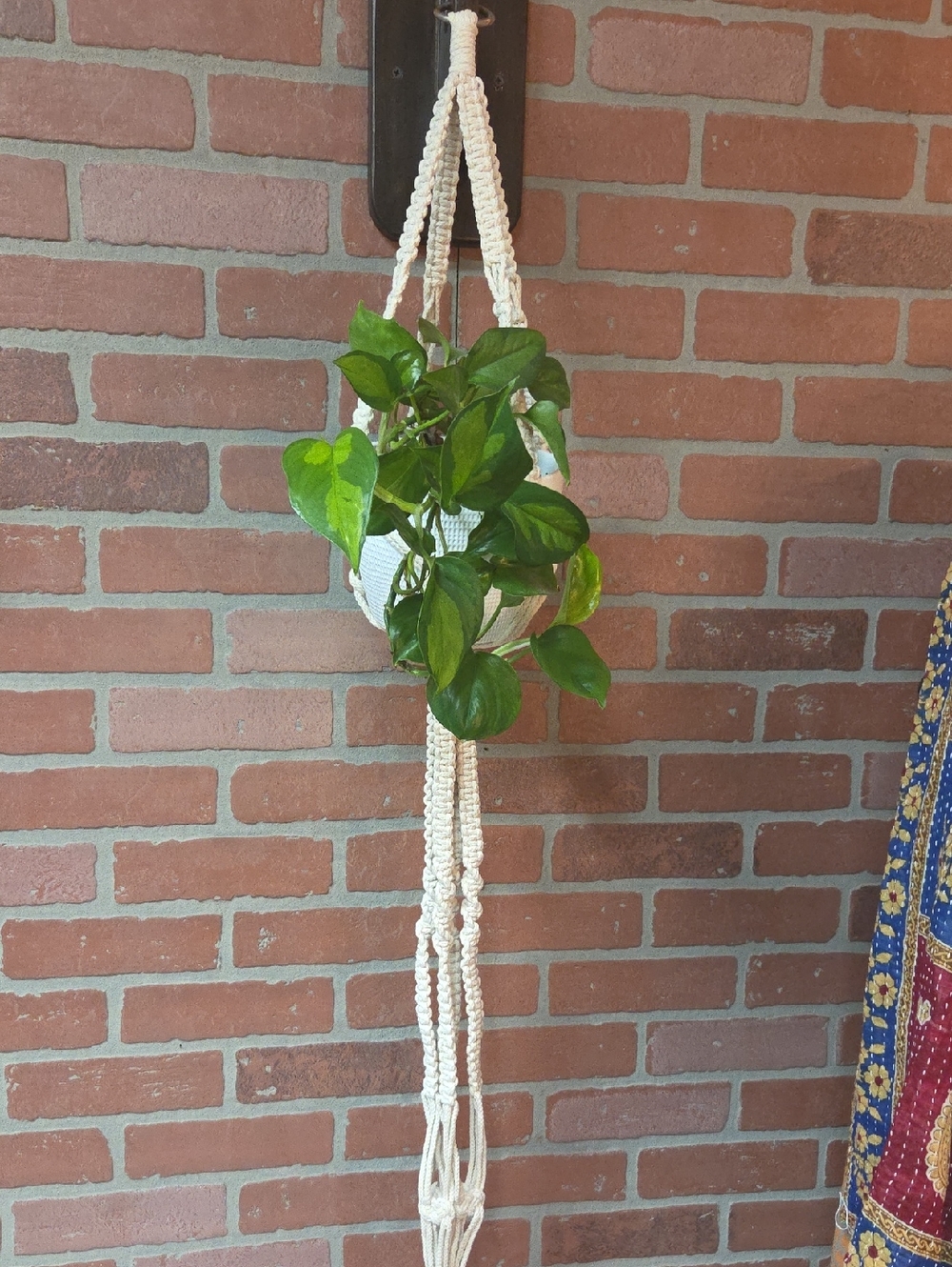 Macramé Plant Hanger in Natural Cream